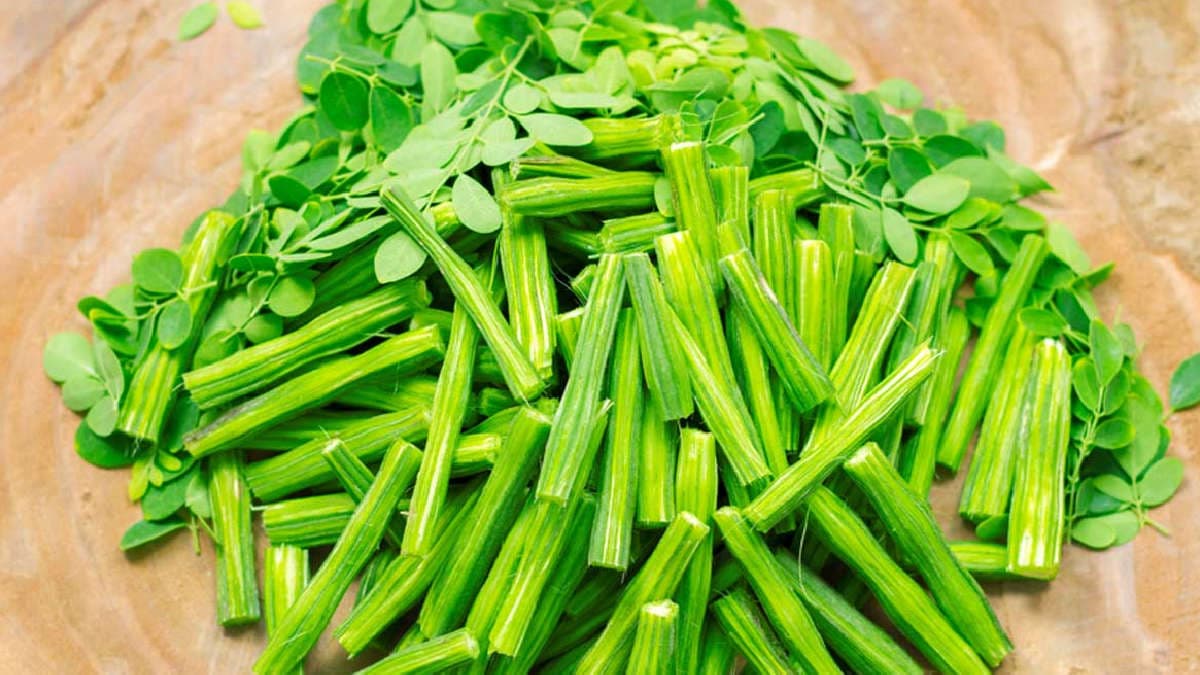 Moringa leaves (photo)